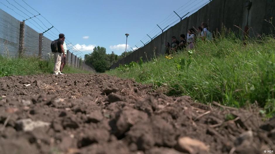 Germany's Green Belt: A Thriving Ecosystem Rises from Former Border