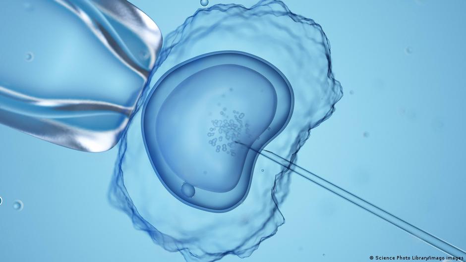 Germany's Reproductive Medicine Laws Criticized as Discriminatory and Archaic