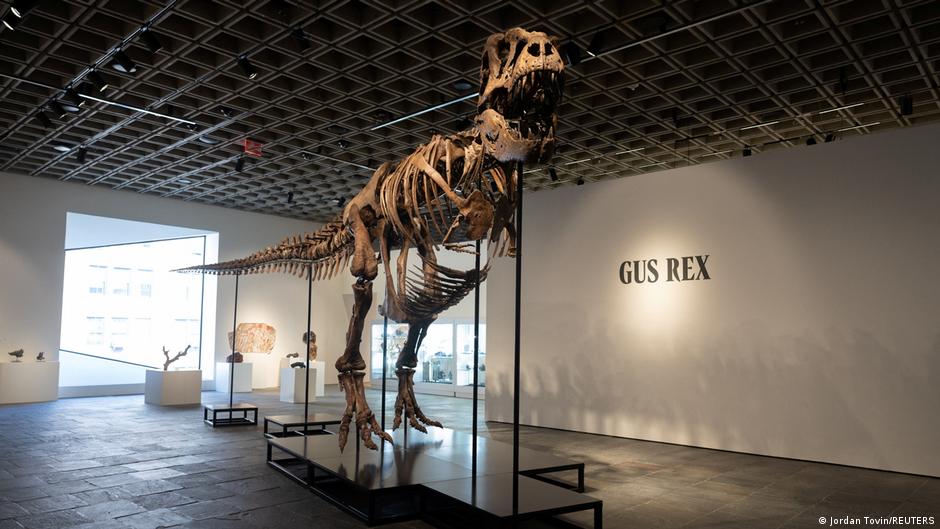 Tyrannosaurus Rex Skeleton 'Gus' Achieves Record-Breaking $50.1 Million at Auction