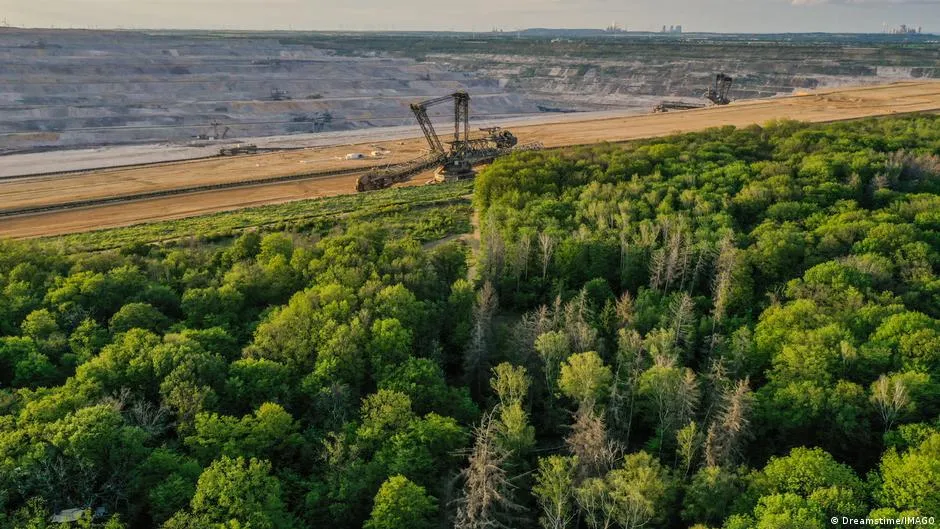 Contrasting Environmental Policies: Germany Protects Ancient Forest, US Opens Public Lands for Exploitation