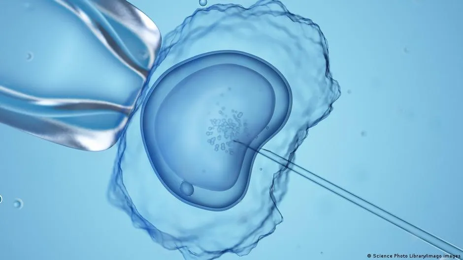 Germany's Reproductive Medicine Laws Criticized as Discriminatory and Archaic